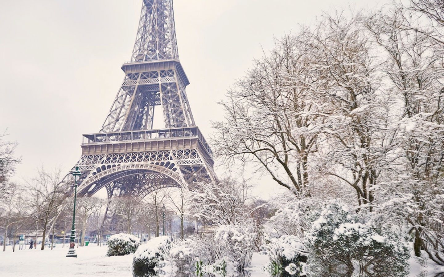 Composition 1_00024.jpg